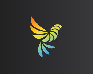 Abstract bird parrot logo design. Creative color eagle symbol. Luxury falcon hawk logotype.