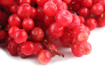 Schisandra Chinensis isolated on white