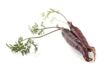 Violet carrots and leaves