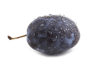 Black plum