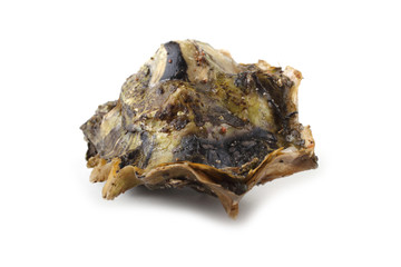 Oyster isolated on white