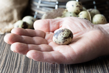 Quail egg on a male palm on a vintage background.