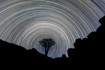 A beautiful night sky photograph of a silhouetted Quiver Tree framed by rocky mountains, with...