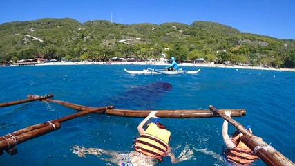oslob whale wacthing