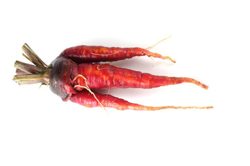 Funny ugly red carrot