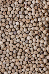 white peppercorns seed on white acrylic background