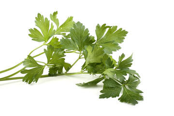 Parsley isolated on white