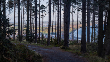 Row of trees with a town view behind them with bright sunlight and sea