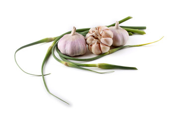 Garlic and garlic arrows