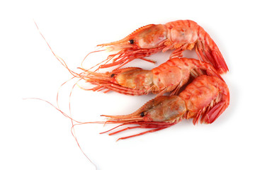 Big shrimps isolated on white