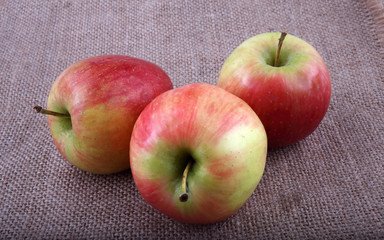 Apples on bagging