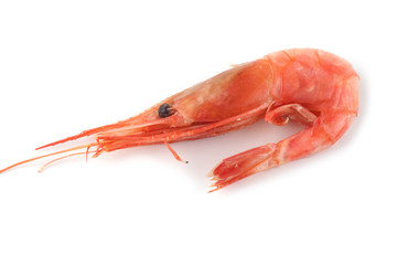 Shrimp isolated on white