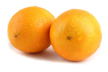 Oranges isolated on white