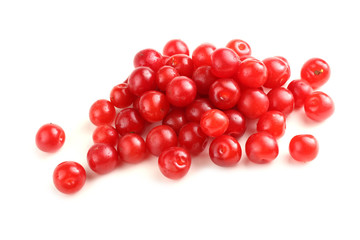 Nanking cherry isolated on white