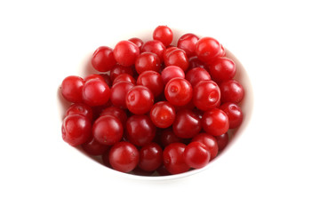 Nanking cherry