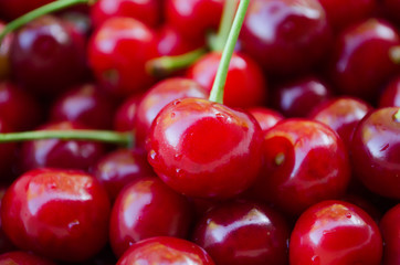 Cherry on a background of greenery. Cherries on a background of cherries. Organic products. Vegetables and fruits. Red ripped cherry. Fruit. Texture and background. Garden and cottage. Nutrition 