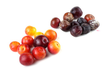 Plums and rotten plums