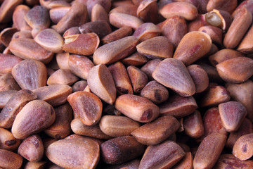 Cedar nuts background