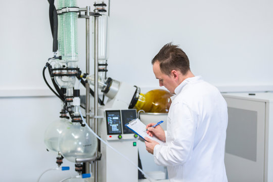 Scientist controlling rotavapor machine during CBD and CBDa oil extraction