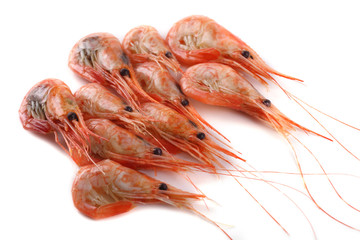 Shrimps isolated on white. Fresh sea food