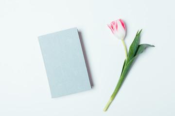 Notebook next to fresh tulip flower on white background