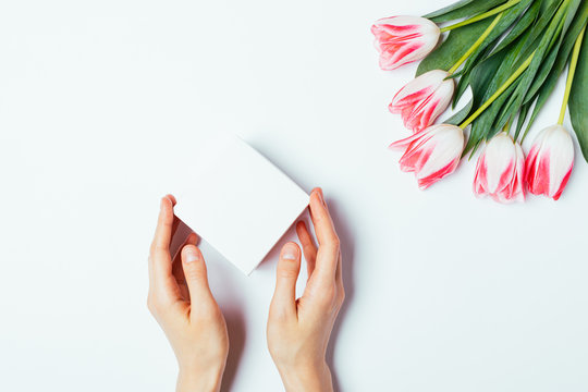 Female's Hands Hold Blank Box Next To Bunch Pink Tulip Flowers