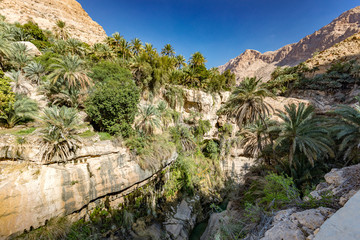 Wadi Tiwi real water spring and waterfall, Oman - Water spring, waterfall and eroded canyon surrounded by palm trees oasis in Oman.