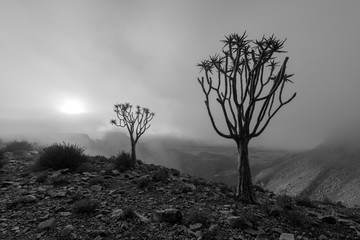 A moody black and white landscape taken on top of the arid and stark Fish River Canyon, Namibia,...