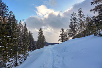 Mountain trail to Kopieniec Glade (Polana Kopieniec) in Tatra Mountains, Poland © PatPat