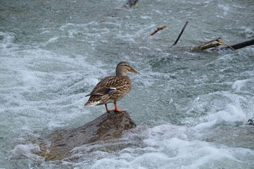Gleich geht es rein ins Wasser