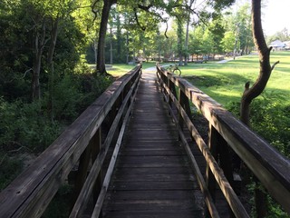 wood bridge path