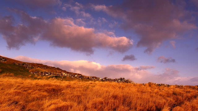 sunrise landscape in pink and orange tones with rusty autumn grasses, stone wall and mountains from Connemara, Galway, Ireland