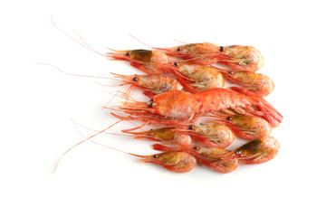 Big and little shrimps