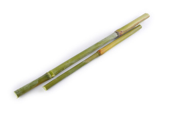 Sugar cane isolated on white