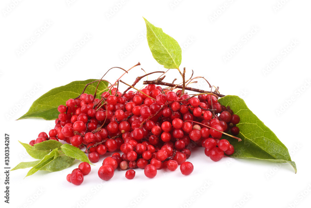 Sticker schisandra chinensis isolated on white