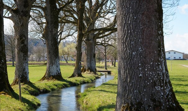Bach-Panorama bei Bruckm&uuml;hl