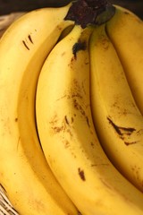 Delicious ripe yellow bananas close up view 