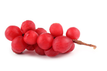 Schisandra Chinensis isolated on white