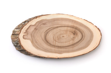 Tree trunk cross section
