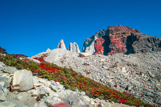 Panoramic view over beautiful Torres del Paine National Park, its Magellanic subpolar lenga forests and high peaks at golden Autumn, Patagonia, Chile, sunny day, blue sky