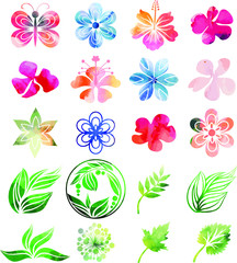 Watercolor floral set