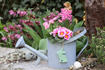 Frühlingsblumen in Pink in vintage Gießkanne