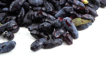 Honeysuckle berries background