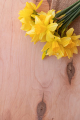 Yellow daffodils on a wooden background. Bouquet of spring flowers. Warm weather.