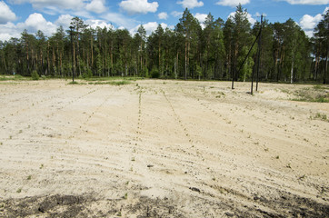 Reclamation of an oil production site. Planting pine seedlings.