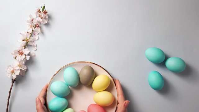 hands puts a plate with colorful eggs on an easter decorated table. branch with flowers and on a blue background. spring holidays concept. copy space for text, 4K.