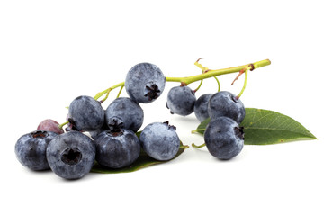 Cluster of blueberries