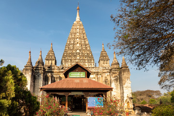 Maha Bodi Phaya temple