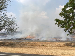 Fototapeta na wymiar fire in field with wildfire smoke