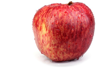 Apple "Red delicious"